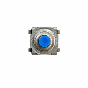 Microswitch Grande Azul